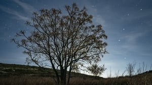 Nature Nights, Friday March 13th 2026 show image