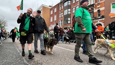 St Patrick's Day celebrated across cities and towns in Ireland