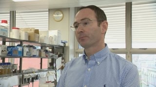 New research identifies sports injuries that cause poor brain health