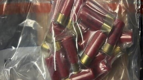 Shotgun shells