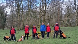 Search and Rescue Dogs in Kerry   show image