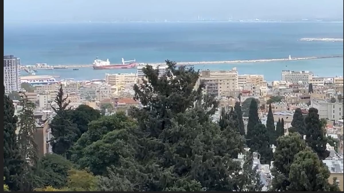 Livestock Boat to Israel  