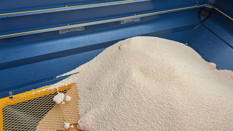 Gan ach teilgean coicíse sa stoc leasacháin atá ag feirmeoirí in Éirinn faoi láthair