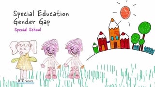 Boys more likely to attend special schools as data highlights gender disparity