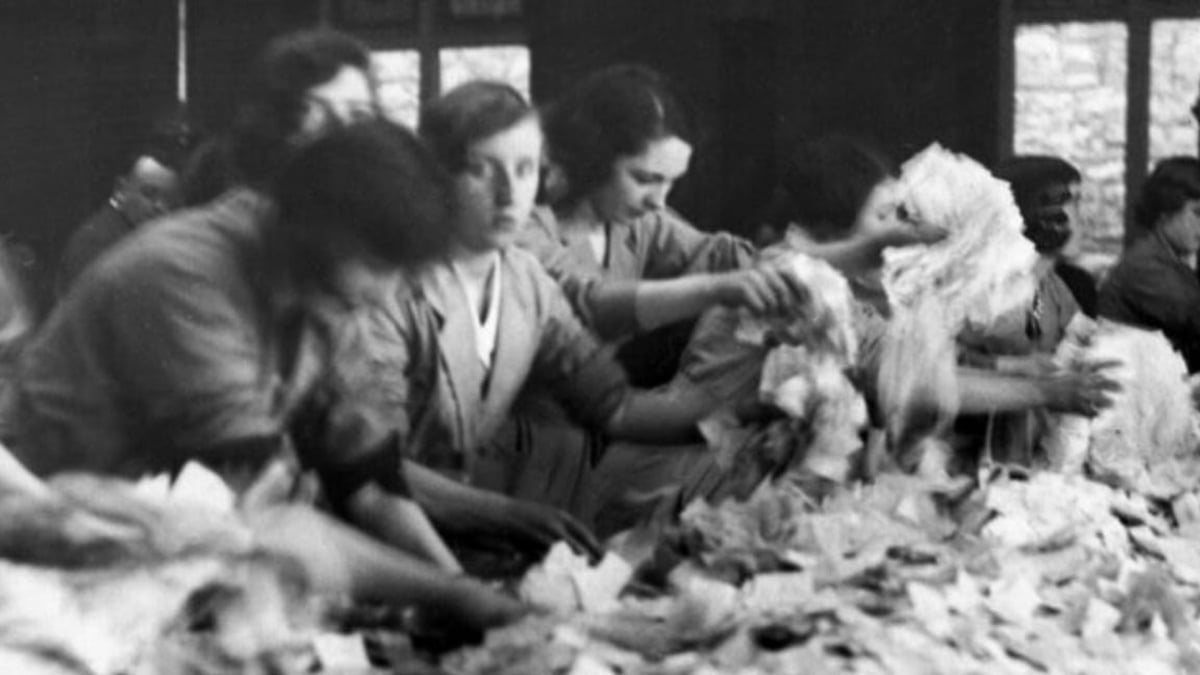 The Good Luck Club - Louise Lowe