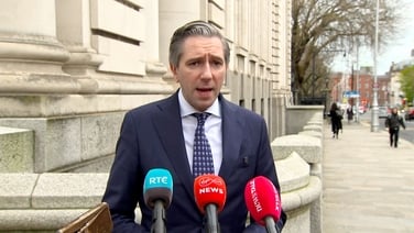 Six-month fuel measures 'foolish' - Tánaiste