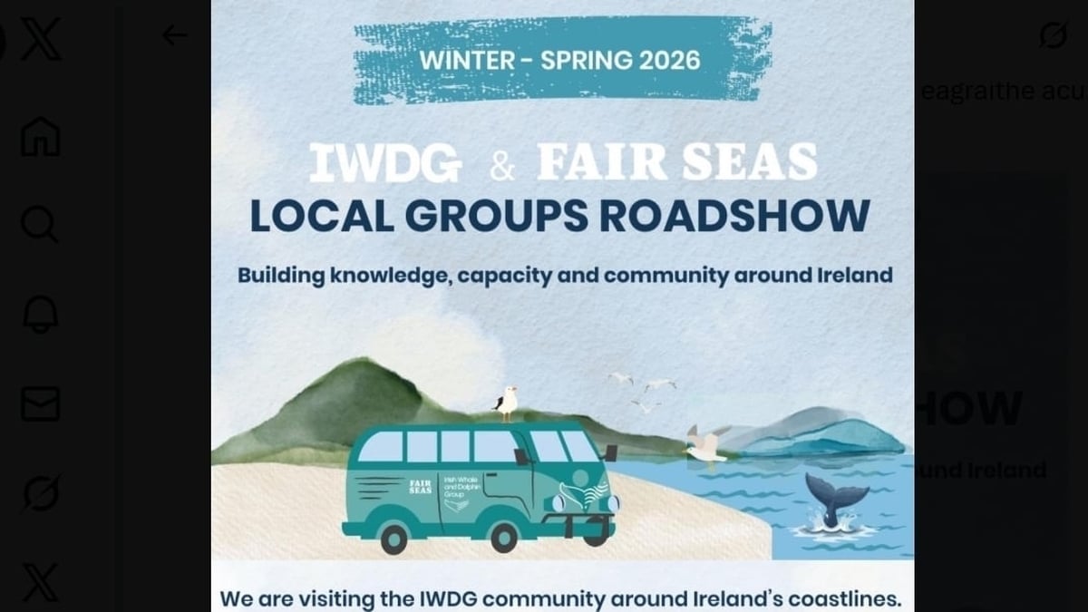 Jack Ó Donnabhán Trá agus Cian Ó Nialláin