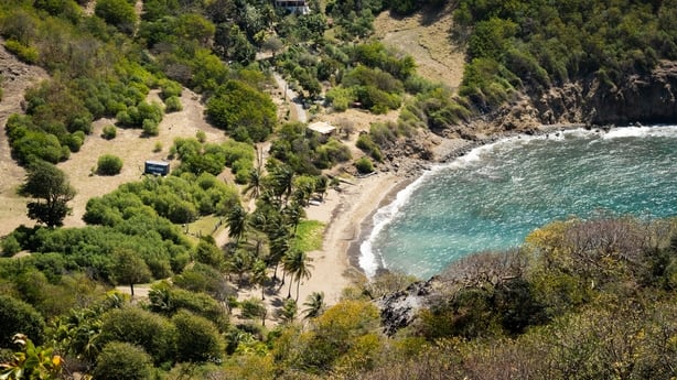 A photo shows a beach taken from on top of a ill with sparse vegetation and blue water