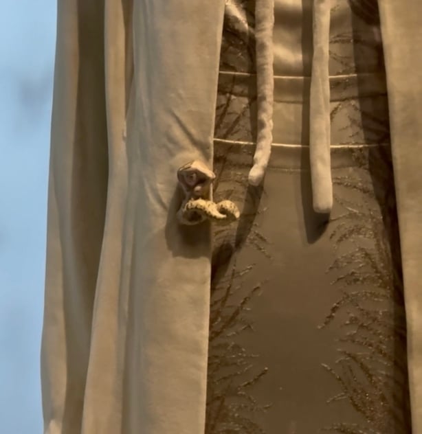 The bare-breasted mermaid button of Lady Jane Clark's Coronation coat