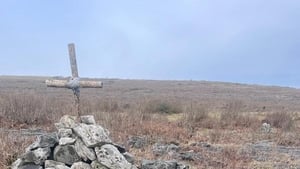 Mountain Meitheal West  show image