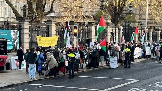 Protesters carry Palestinian flags outside Leinster House