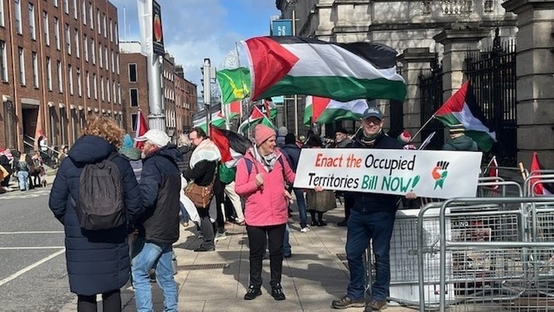 Protesters carry signs and wave flags outside the Dáil