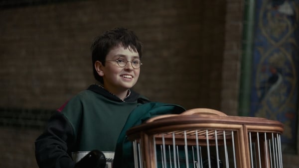 Dominic McLaughlin as Harry Potter in the new HBO Max Harry Potter series