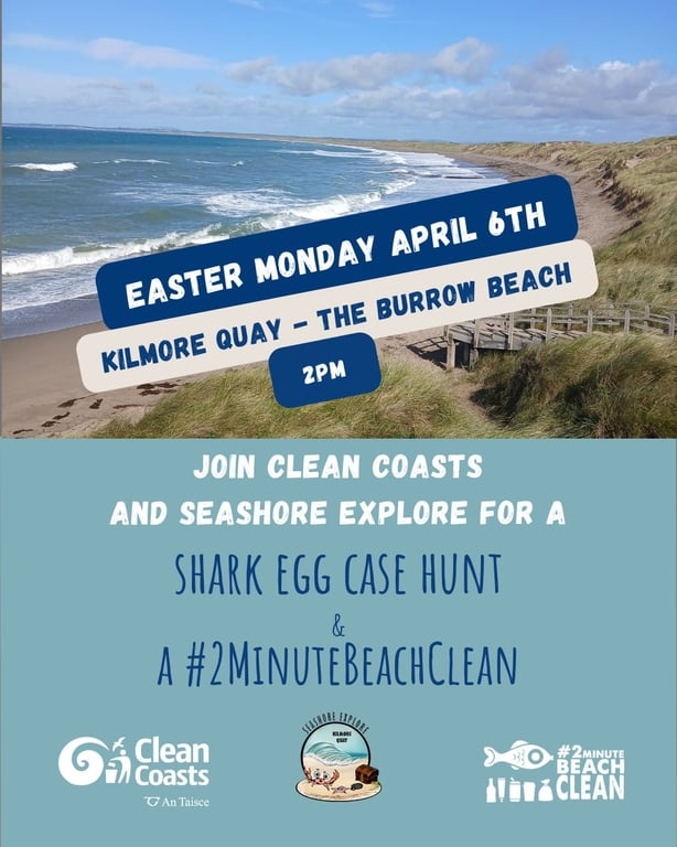 A poster for a 2 Minute Beach Clean Event 