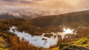 Crunchy bog show image