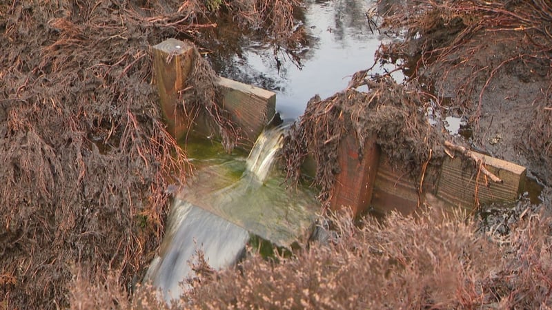 A dam at a peat bog restoration project in Co Wicklow RTÉ