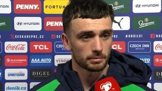 Troy Parrott 'gutted we couldn't do it for everyone'