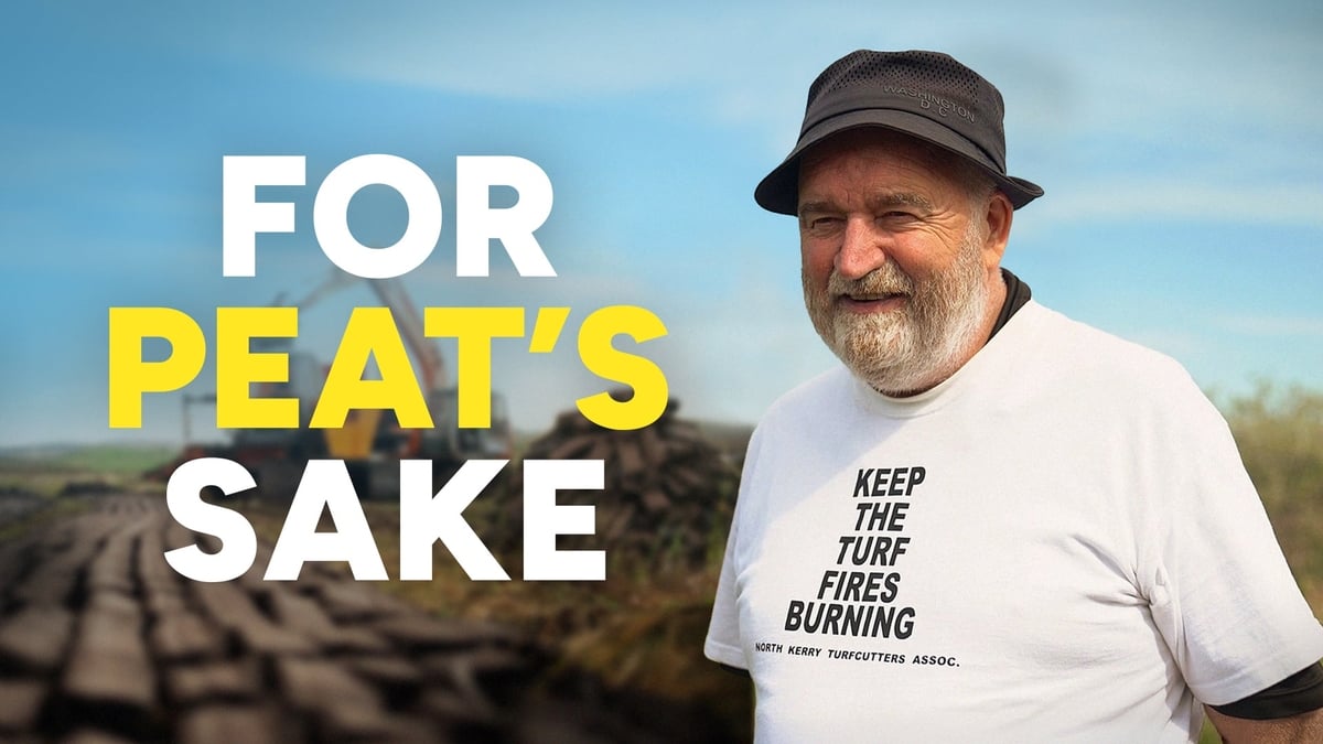 Tomás Ó Curraoin, Comhairleoir Contae