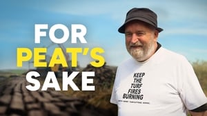 Tomás Ó Curraoin, Comhairleoir Contae show image