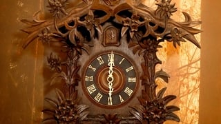 Over 400 cuckoo clocks go on display in Waterford exhibition