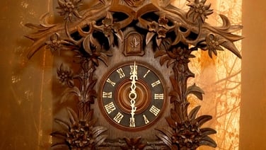 Over 400 cuckoo clocks go on display in Waterford exhibition