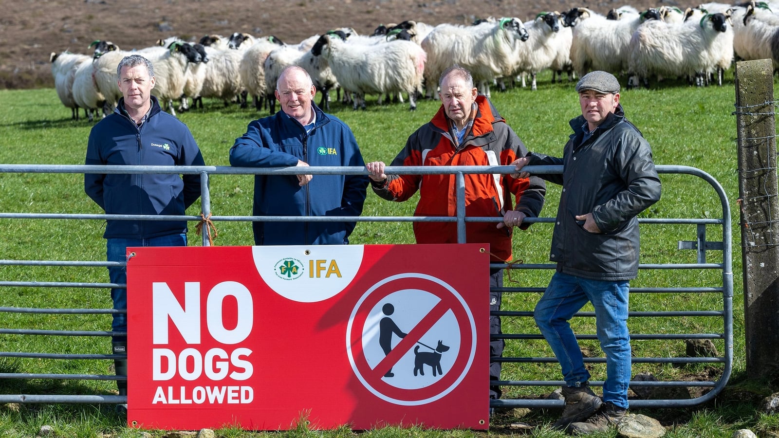 Farmers call for stricter dog regulations and enforcement