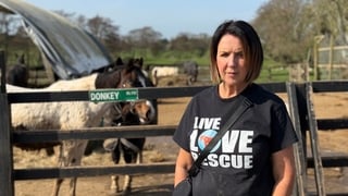 Call for dedicated animal crime unit