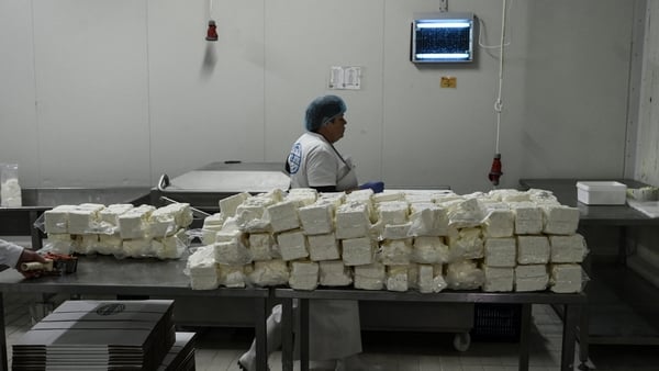 An employee wearing a blue hat and apron works in a feta factory with blocks of feta on a table