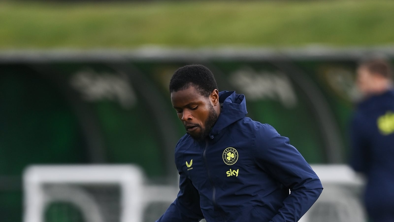 Late-bloomer Alli offers Ireland 'different perspective'