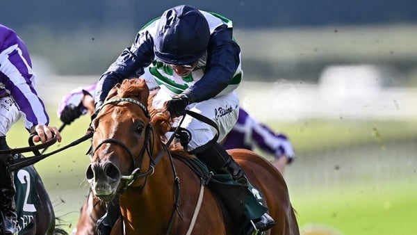 Kildare , Ireland - 14 September 2025; Zavateri, right, with Charles Bishop up, on their way to winning the Goffs Vincent O'Brien National Stakes, from second place Gstaad, left, with Christophe Soumillon up, during day two of the Irish Champions Festival