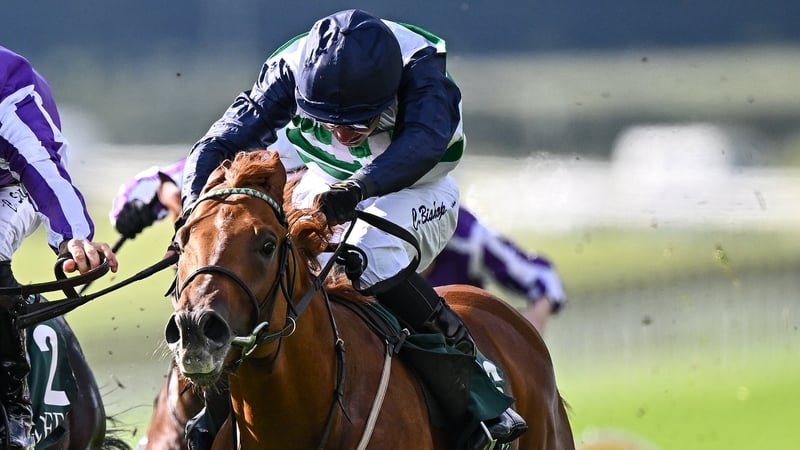 Kildare , Ireland - 14 September 2025; Zavateri, right, with Charles Bishop up, on their way to winning the Goffs Vincent O'Brien National Stakes, from second place Gstaad, left, with Christophe Soumillon up, during day two of the Irish Champions Festival