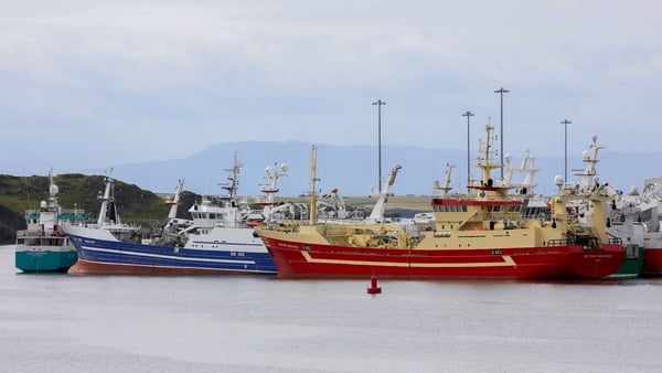 Fishing vessesl are pictured in the harbour in Killybegs