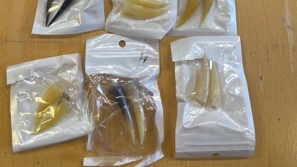 An Garda Siochana Tipperary