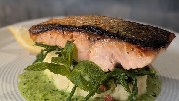 Salmon on vegetables and mashed potatoes