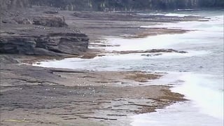 Bodies of two anglers recovered from water in Co Clare