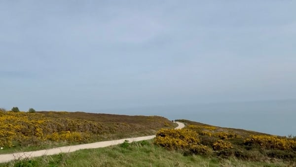 a pathway runs through gorse bushes with the sea in the background