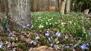 Highlights - Saturday 4th April to Friday 10th April show image