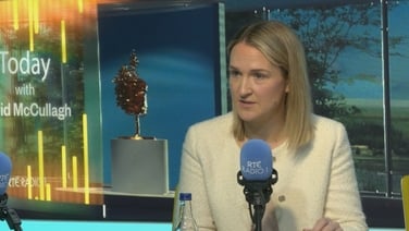 Intention was to visit Irish troops in Lebanon - McEntee