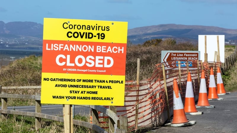 What Ireland's first public Covid-19 hearing revealed