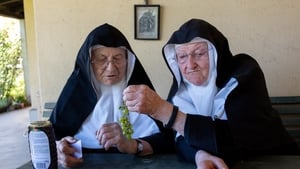 Three nuns escaped from a care home to return to their convent in Austria show image