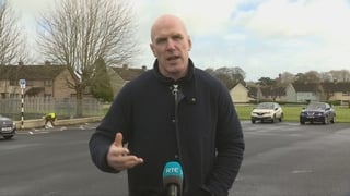 24,000 volunteers take part in Limerick clean-up