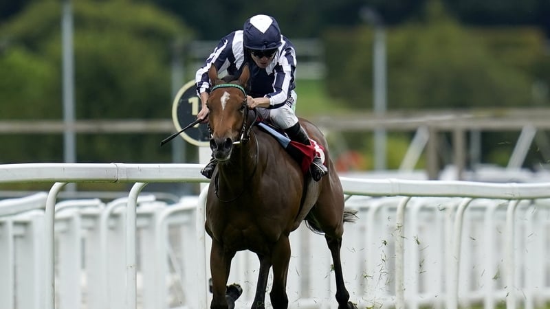 Celestial Orbit stars in Curragh feature