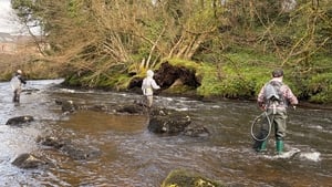 Angling on the Deele  show image