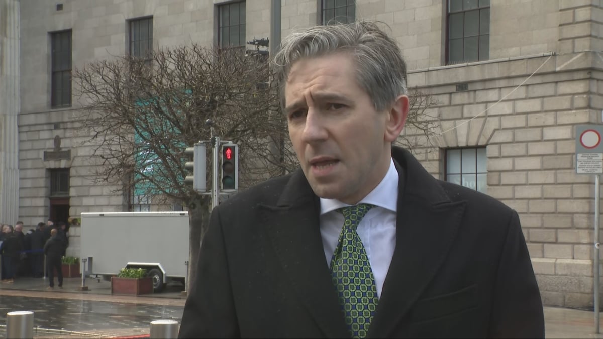 Harris calls for Bertie Ahern to reflect on immigration comments
