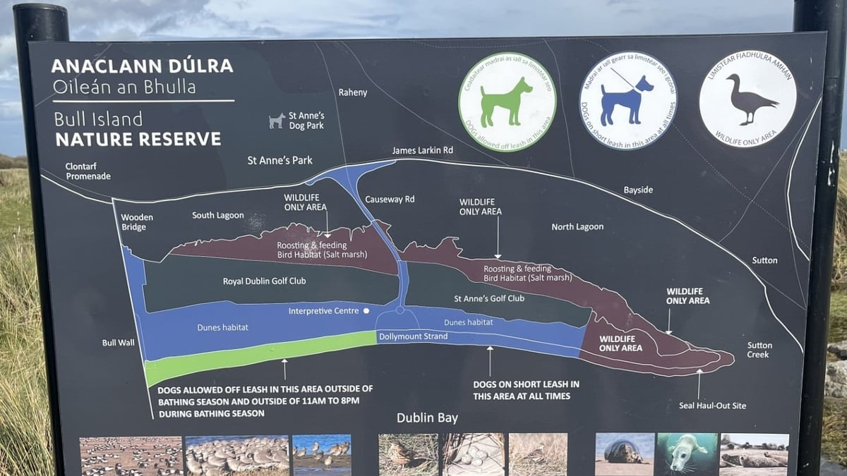 Biodiversity efforts on Bull Island 