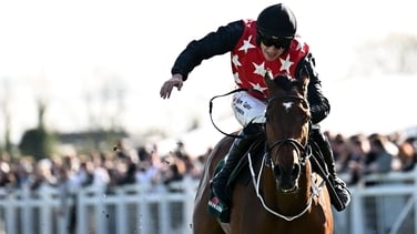 Fleur In The Park wins a chaotic Grade 1 WillowWarm Gold Cup at Fairyhouse