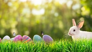 Mooney Goes Wild Monday April 6th 2026 show image