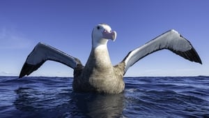 Mooney Goes Wild Monday 6 April 2026 show image