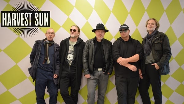 Harvest Sun- farg utan kontraster