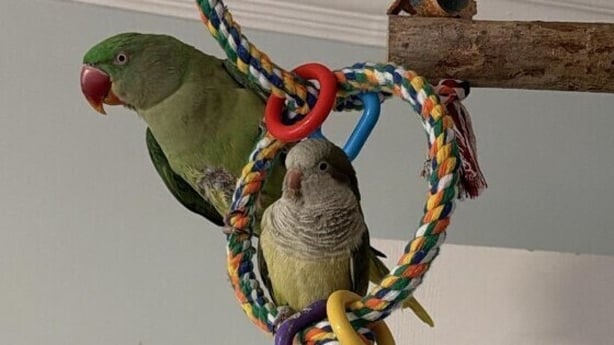 Lola at her home